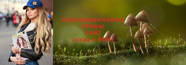 сатива Медногорск