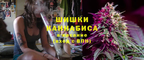 молекула духа Мегион