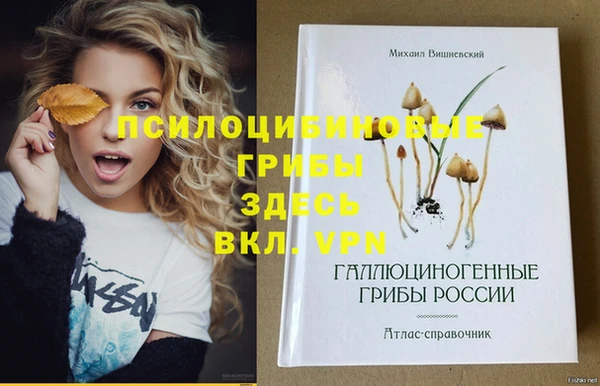 герыч Медвежьегорск