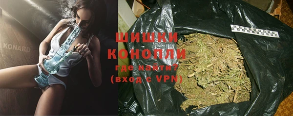 молекула духа Мегион