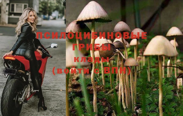 герыч Медвежьегорск