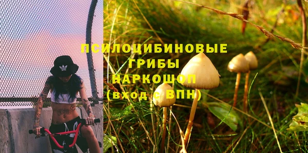 apvp Новый Уренгой