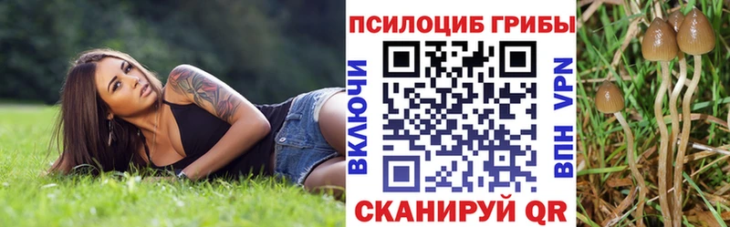ссылка на мегу ТОР  Щёлково  Галлюциногенные грибы GOLDEN TEACHER  закладка 